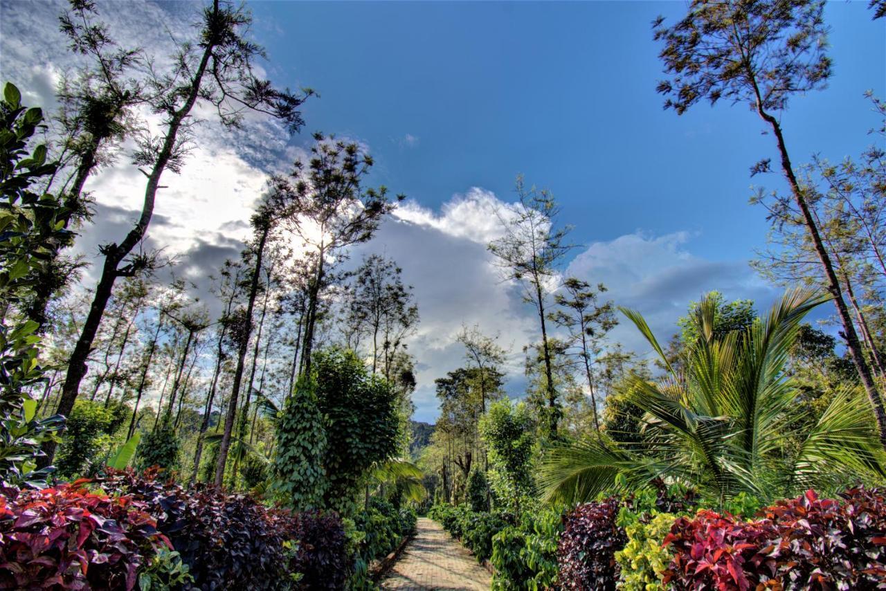 Coorg Bliss Estate Stay Madikeri Bagian luar foto